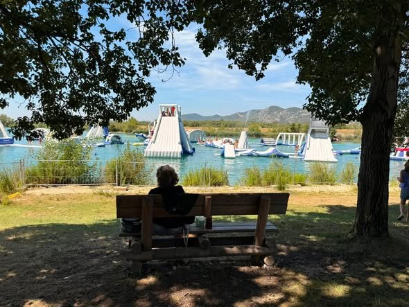 Un banc à l’ombre d’un arbre face au lac