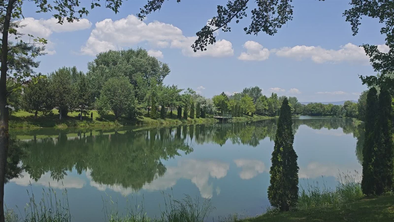 Le lac, ses arbres et leurs reflets, au bord duquel s’installe la Paillote